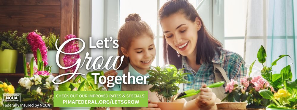 Pima Federal Credit Union ad